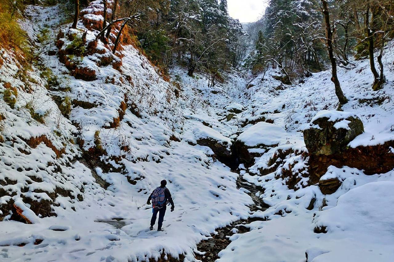 Ruhaani Cottages and Cafe